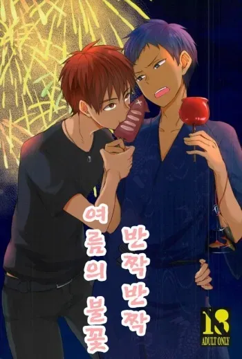 Kirakira natsu no hana manga cover