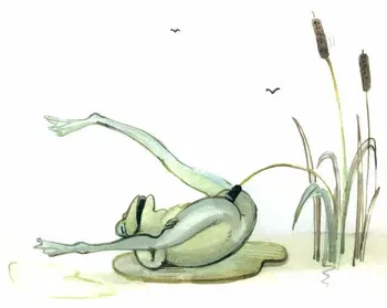 Tomi Ungerer - The Joy of Frogs manga cover