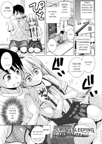 Nemuri Hime no Aida dake - During Sleeping Beauty's Dream manga cover