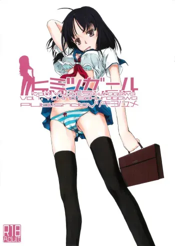 Himitsu Girl - manga cover