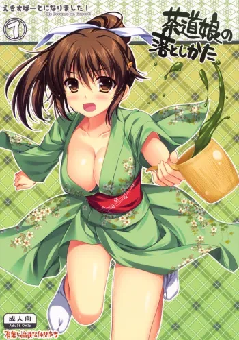 (C78) [Alpha to Yukaina Nakamatachi (Alpha)] Expert ni Narimashita! 7 Sadou Musume no Otoshikata manga cover