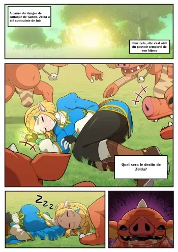 [Everyday2]Hidden memory (The Legend of Zelda) [FRENCH] manga cover