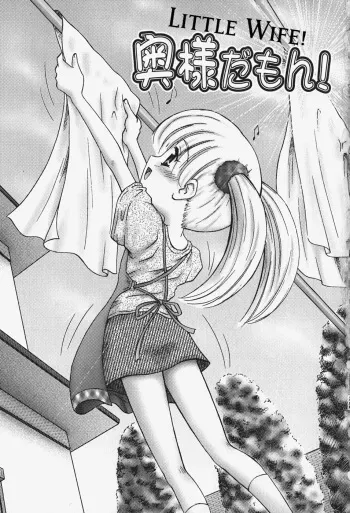 Little Wife manga cover