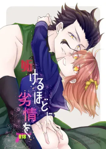 (Dai 11-ji ROOT4to5) [Quasar (Kurosaki Arata)] Yakeru Hodo ni Retsujou o (Fate/Grand Order) [Sample] manga cover