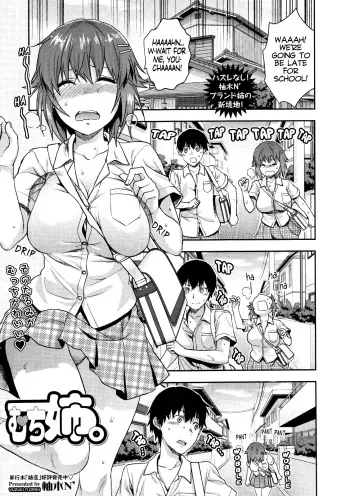 Muchi Ane | Chubby Sister 1-2 manga cover