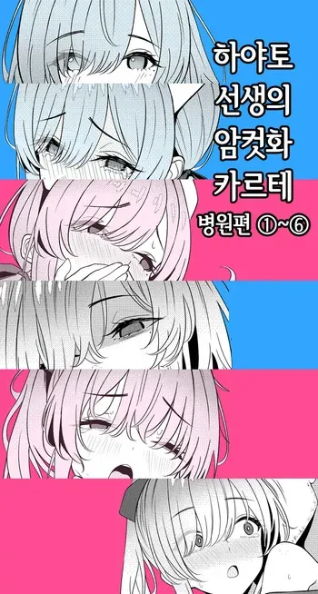 [TuriSasu] Hayato Sensei no Mesu-ka Karute Byouin-hen 1-6 | 하야토 선생의 암컷화 카르테 병원편 1-6 [Korean] manga cover