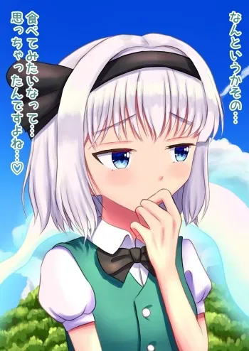 Youmu-chan marunomi manga cover