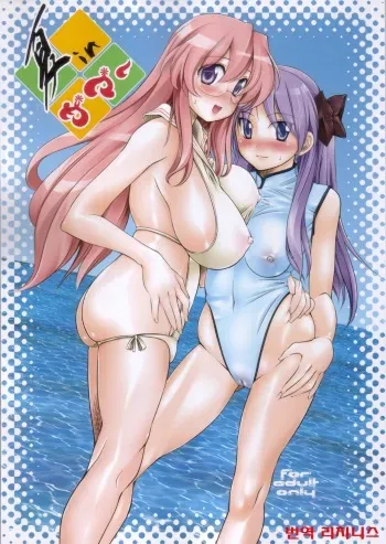 (C72) [Hi-PER PINCH (clover)] Natsu in Summer (Lucky Star) [Korean] [리치니스] manga cover