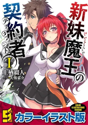 The Testament of Sister New Devil Light Novel Illustrations (1-13) manga cover