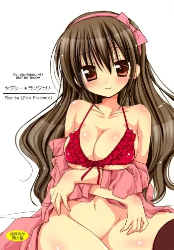 Sexy Lingerie manga cover