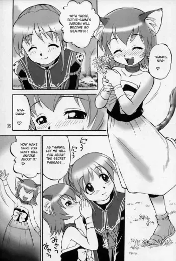 (C68) [Jack-O'-lantern (Ebifly, Neriwasabi)] Neko Panchu (Final Fantasy XI) [English] [desudesu] [Incomplete] manga cover