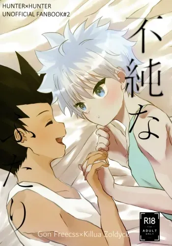 (ENDLESS×HUNTER HARU2024) [Tanukineiri (Tei)] Fujunna Futari (Hunter x Hunter) manga cover