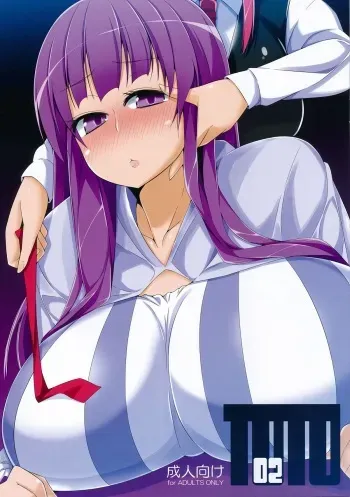 (C84) [Hiatari Ryoukou (Toudori)] TOTO 02 (Touhou Project) manga cover