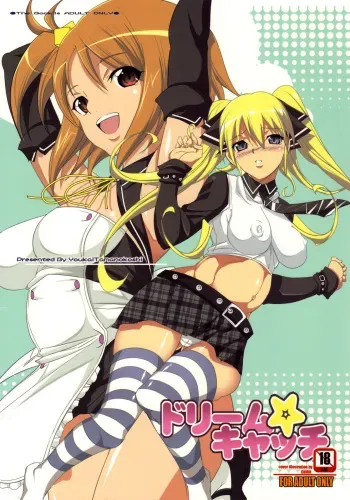 (C77) [Youkai Tamanokoshi (CHIRO)] Dream Catch (Dream C Club) manga cover