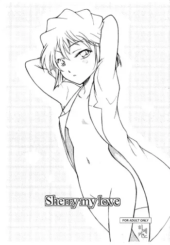 (C88) [OTOHIMEDOU (Otumaru)] Sherry my love | 명탐정코난 (Meitantei Conan) [Korean] manga cover