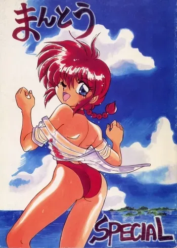 Variation Special manga cover