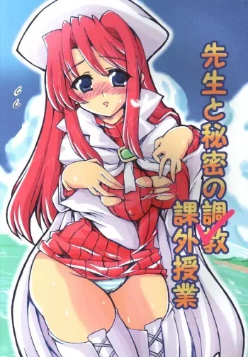 (CT5) [Transistor Baby (Hata)] Sensei to Himitsu no Kagai Jugyou (Summon Night 3) manga cover