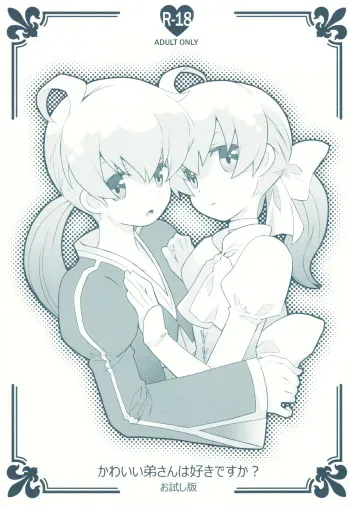(C78) [Bakuhatsu BRS. (B.Tarou)] Kawaii Otouto-san wa Suki desu ka? Otameshiban (Final Fantasy Tactics) manga cover