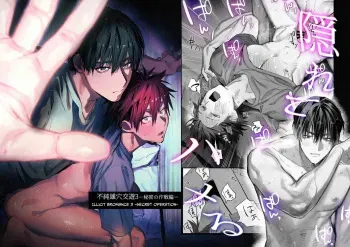 Fujun Osu Ana Kouyuu 3 -Himitsu no Sakusen Hen- | Illicit Bromance 3 -Secret Operation- manga cover
