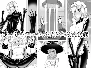 Picchiri Suit Maid to Doutei Kizoku | The Maid in the Tight Suit and the Virgin Aristocrat manga cover