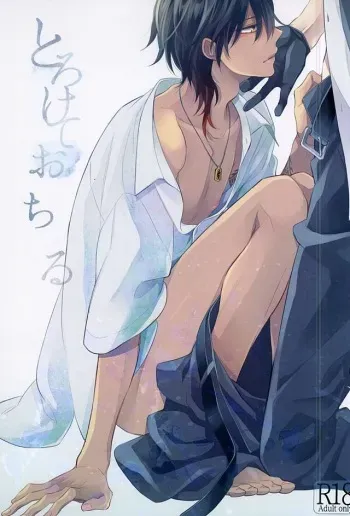 (Senka no Toki) [Hakoniwa. (Mai)] Torokete Ochiru (Touken Ranbu) manga cover