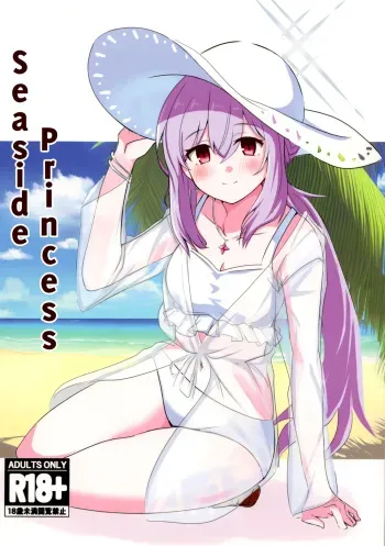 Seaside Princes - Umibe no Himegimi manga cover