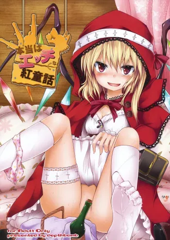 (Aka no Hiroba 5) [Depthbomb (Shimo)] Hontou wa Ecchi na Koudouwa (Touhou Project) manga cover