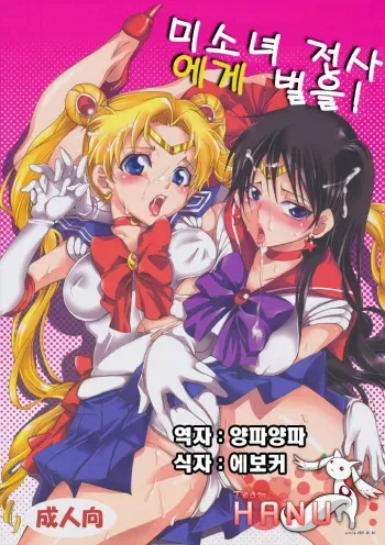 (C80) [Kurione-sha (YU-RI)] Bishoujo Senshi ni Oshioki! (Sailor Moon) [Korean] (Team HA-NU) manga cover