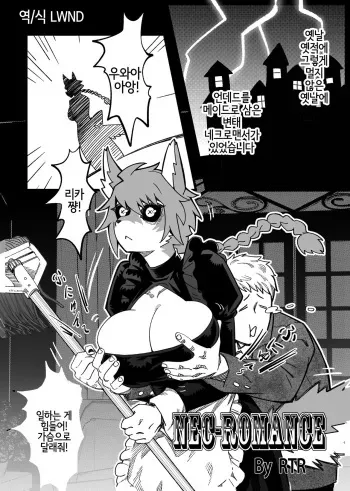 [Kimuchi-tei (RTR)] NEC-ROMANCE (Kemo Nee-san 5) [Korean] [Digital] [LWND] manga cover