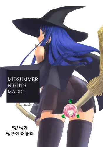 (C64) [Tear Drop (tsuina)] MIDSUMMER NIGHTS MAGIC (ToHeart) [Korean] manga cover