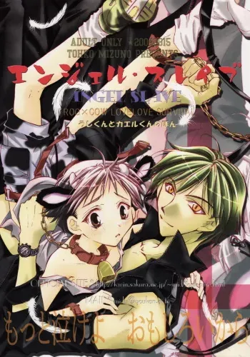 Angel Slave manga cover