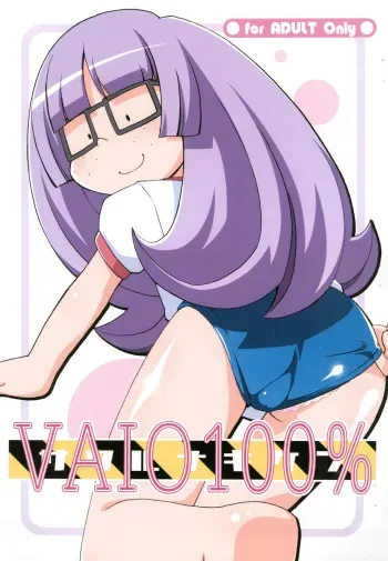 (Lun Lun Festa) [Yumesaki Annai Kairanban (Hiro Hiroki)] VAIO 100% (The Marshmallow Times) manga cover