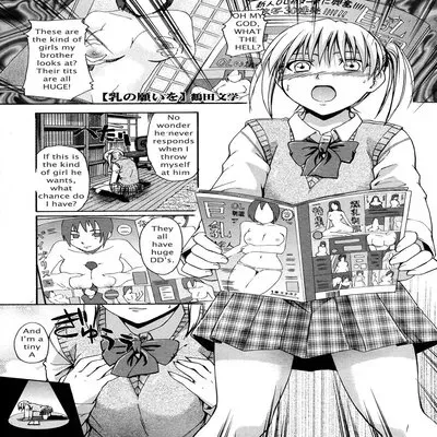 Sister's Big Boob Wish (Rewrite) [Original] manga cover