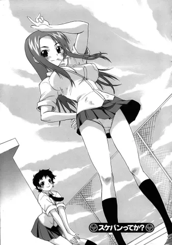 You're the Sukeban? manga cover