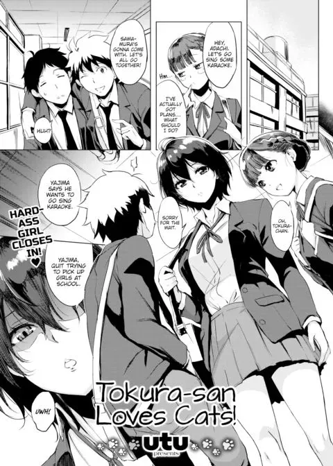 Tokura-san Loves Cats! manga cover