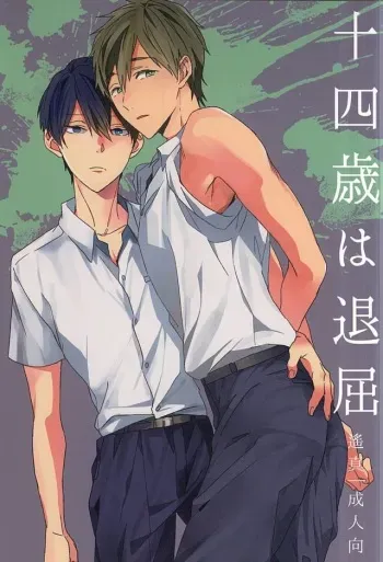 (C88) [tocori (Tokori)] Juuyonsai wa Taikutsu (Free!) manga cover