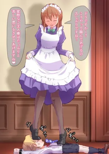 [ば いちご]【支援プラン用】ご主人様を踏み躙るメイド manga cover