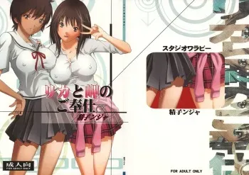 (COMIC1☆2) [Studio Wallaby (Seishinja)] Rika to Misaki no Gohoushi. (Hatsukoi Limited.) manga cover