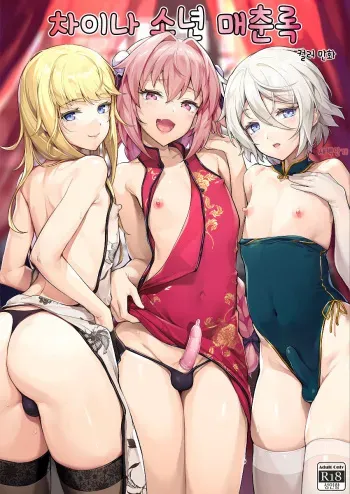[Shinsei Lolishota (shuffle, kozi)] China Shounen Baishunroku | 차이나 소년 매춘록 (Fate/Grand Order) [Korean] [새벽안개] [Digital] manga cover