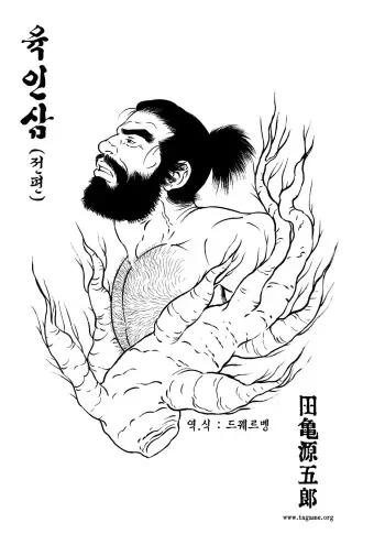 [Tagame Gengoroh] Niku Ninjin | 육인삼 [Korean] manga cover