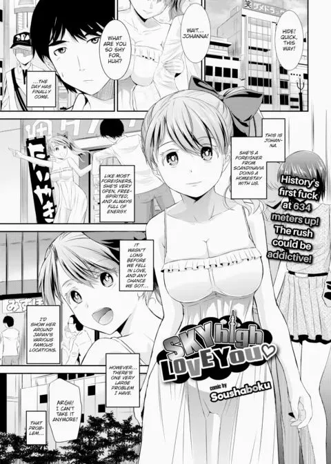 Sky-High Love You manga cover