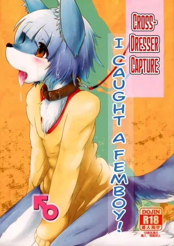 Josou Hobaku | Crossdresser Capture manga cover