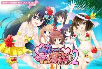 [Galette] Onii-chan, Migite no Shiyou o Kinshi Shimasu! 2 manga cover
