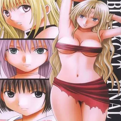 Black Cat Final [Doujinshi] manga cover