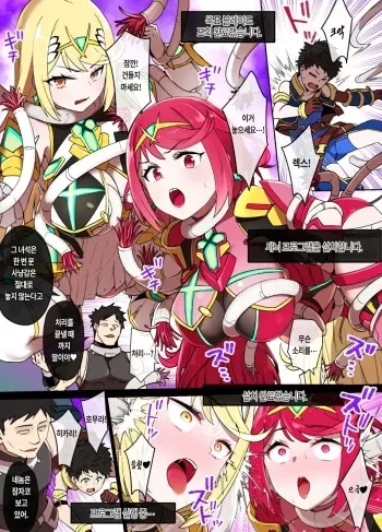 [Kusayarou] Homura & Hikari Sennou NTR Manga 14P (Xenoblade 2) manga cover