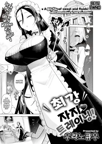 Saikyou Ochinpo Training! manga cover