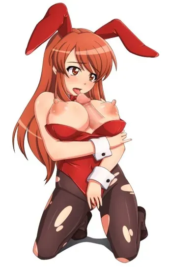 Big Breasts Series : Melancholy of Haruhi Suzumiya manga cover