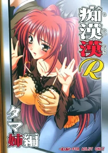(C74) [Studio Q (Natsuka Q-Ya)] Chikan Otoko R Tama-nee Hen (ToHeart2) [Korean] manga cover