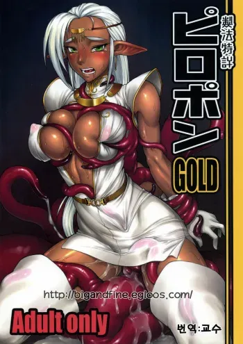 (SC41) [Nagaredamaya (BANG-YOU)] Piropon GOLD (Record of Lodoss War) [Korean] manga cover