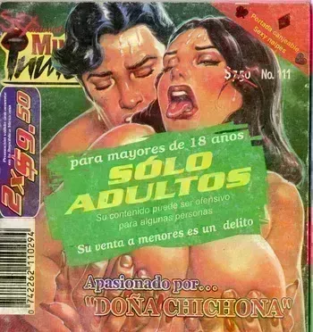 mujeres inmorales 111 manga cover